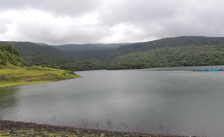 Manoli Dam Amba